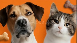 Curious dog and cat duo with floating bones against orange backdrop