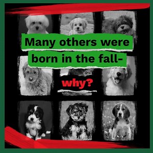 15 reactions · 28 shares | Don't support puppy mill cruelty. Learn...