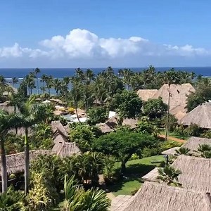 Blue skies and palm trees: Welcome to Outrigger Fiji. Vinaka for the video, John (@johnprince2012/Instagram) | OUTRIGGER Fiji Beach Resort