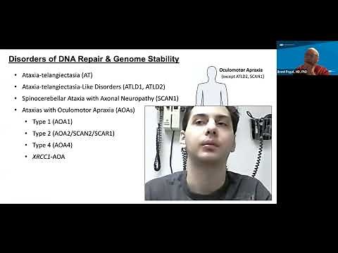 All About Ataxia with Oculomotor Apraxia (AOA1, AOA2, and AOA4)