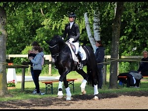 DANCIERO & Eva Möller - Reitpferdeprüfung Turnier Lienen 12.05.2019