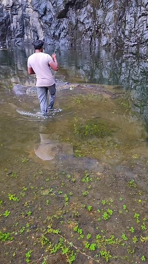 371K views · 6.3K reactions | Snakehead Fish Caught on Frog Lure | #reels #viral #fishing #trendingreels #trending #fishingvideos #fish #shorts | Chennai Fishing Club | Facebook