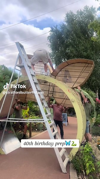 Team butterfly have been working very hard on something special… Join us at Stratford butterfly farm today and help us celebrate our 40th birthday and check out our spicey new exhibit🐍🐍🐍🐍🐍🐍 #40yearsold #newexhibition #stratfordbutterflyfarm #venomoussnakes #snakesoftiktok #uncleterry #familydaysout