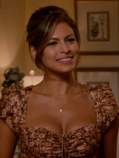 The Other Guys now on Netflix — Eva Mendes & Will Ferrell star