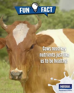 68K views · 149 reactions | NESTLÉ® Milks are conveniently filled with essential nutrients so you can feel healthy and strong. | NESTLE Milk | Facebook