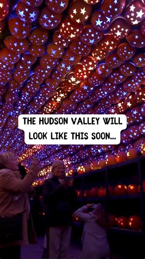 11K views · 128 reactions | The Great Jack O'Lantern Blaze opens in less than a month!  We can't wait for you to experience over 7,000 illuminated jack o'lanterns, new displays, and experiences this fall. Reimagined and bigger and brighter than ever, BLAZE will AMAZE you, don't miss your chance to see it first! ️Get your tickets now at the link below before they sell out. https://tickets.hudsonvalley.org/events?view=list&k=Blaze&promo=3067 | The Great Jack O'Lantern Blaze | Facebook