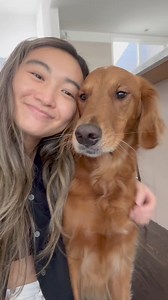 106K views · 1.4K reactions | With the Studio Pro Scent Diffuser, you can bring that luxurious hotel atmosphere straight to your home. It fills your space with signature fragrances inspired by iconic hotels, creating an unforgettable ambiance that guests won’t stop raving about.✨ Plus, it’s safe for kids and pets, so you can enjoy these elevated scents worry-free! | Hotel Collection | Facebook