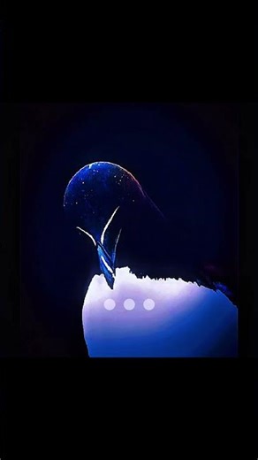 Cooking their species fr #viral #trending #shorts