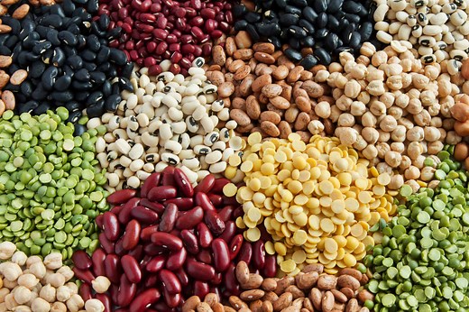 30 Different Types of Beans: Taste Profiles and Best Uses!
