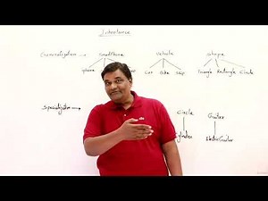 Lecture 12.1 : Generalisation vs Specialisation — [Abdul Bari] Java Course