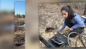 6.1K views · 211 reactions | The dusky gopher frog program has been...