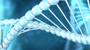 The DNA molecule stores biological information in the form of a genetic code