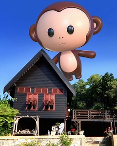 71K views · 691 reactions | Thailand is the home of the Monkey Buffet...