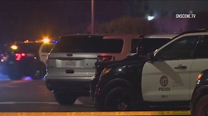 Crime in LA down in 2023 compared to last year, data shows