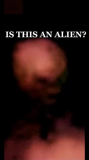 real alien photograph #alien #ufo #conspiracy #ufotiktok #extraterrestrial #conspiracytiktok #conspiracytheory #glitch #turkey #ohjeezthatscary