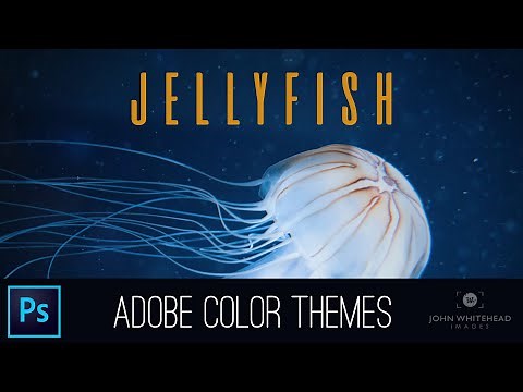 Adobe Color Themes in Adobe Photoshop