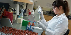 Veterinary Diagnostic Laboratory Design | Strang, Inc.