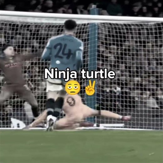 alien versus Ninja turtle #capcut #edit #amnewbutnottheleast