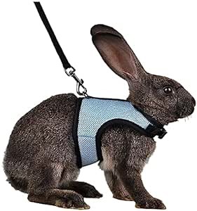 MANON ROSA Rabbit Harness and Leash Set - Adjustable Escape-Proof Training and Walking Gear for Guinea Pigs Bunnies Chinchillas Hamsters Ferrets Rats Kittens and Small Dogs Puppies Cats (Blue,L)