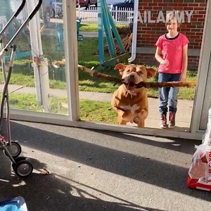 Enjoy one of our best collections of weekly fails! Have a great weekend! | FailArmy