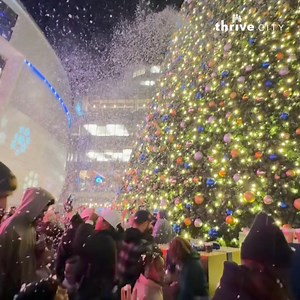 The tallest tree in the Bay is officially LIT 🎄 Happy Holidays, San Francisco! | Chase Center