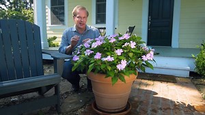 60K views · 2.9K reactions | In this video learn how to make a big impact even in a garden with limited space. To see more, go check out my latest YouTube video on "10 Must Have Plants and Gardening Tips for Small Spaces" https://youtu.be/xDOfo6t1Eec #smallgardenideas | P. Allen Smith | Facebook