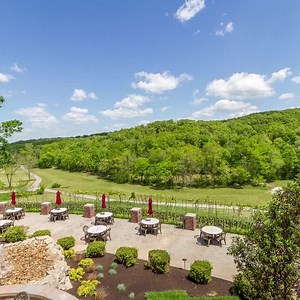 Make your special day 퐄퐗퐓퐑퐀 퐬퐩퐞퐜퐢퐚퐥 with Seven Springs Winery! Book your wedding with us today! www.sevenspringswinery.com/weddings #wedding #weddingvenue #lakeoftheozarks #lakeoftheozarkswedding #sevenspringswinery | Seven Springs Winery | Facebook