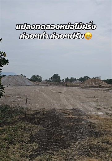 กำลังเตรียมแปลงทดลองปลูกหน่อไม้ฝรั่ง🌿 #หน่อไม้ฝรั่ง #เกษตรอินทรีย์ #ความรู้เกษตร