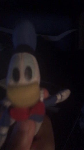 Discover Donald's Second TikTok Channel: Donaldducc2.05