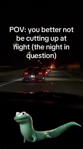 #MemeCut #viral #Meme #fyp #lizard | lizard