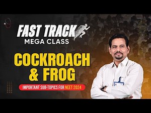NEET-UG 2024: Cockroach & Frog - Fast Track Mega Class by ALLEN Experts | NCERT Biology