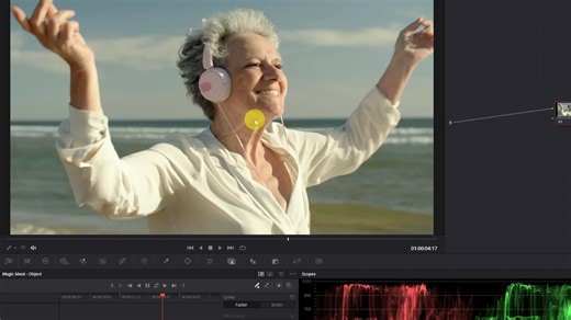DAVINCI RESOLVE (FREE COURSE) - 003 - How to use Magic Mask in Davinci Resolve S