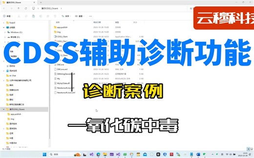 临床决策辅助系统CDSS 辅助诊断