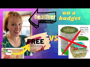 Make Your Own Sprouting Tray for FREE : upcycling project