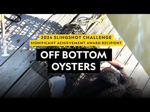 2024 Slingshot Challenge Significant Achievement Award Recipient | Off Bottom Oysters