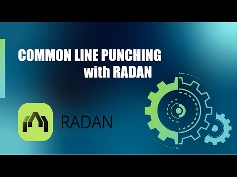 How To Common Line Punching with RADAN