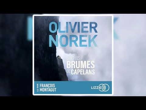 Olivier Norek - Dans les brumes de Capelans | Livres Audio Gratuit Complet