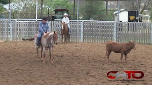 20K views · 361 reactions | Cattle have become faster and tougher to control in the Cutting Pen! Find out how Australia's $2 million dollar trainer does it. #CHTOVideos #CHTO #ToddGraham #ControlCattle | Cutting Horse Training Online | Facebook