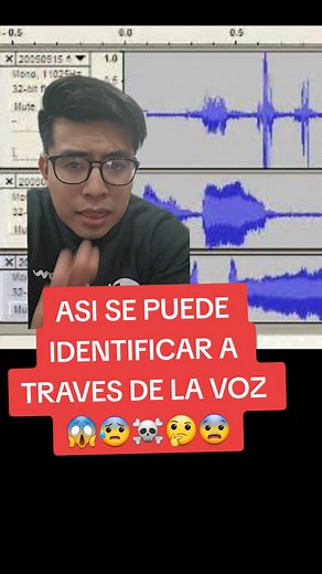 Identificación a través de la voz: Método y Aplicaciones