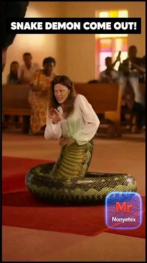 Big snake came to church service 🤣