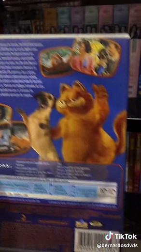 Garfield O filme (2004) #dvd #dvdcollection #dvdcollector #nostalgia #nostalgic #dvds #tvtubo #2000s #garfield #garfieldmovie #garfieldofilme #locadora #videolocadora #homevideo #filme #movie