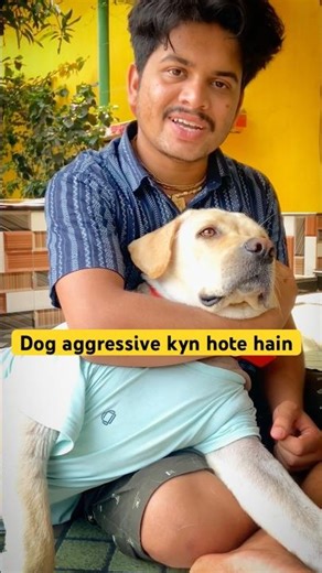 Dog Aggression Ka Real Reason | Dog Owners Must Watch