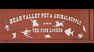 The Fish locker, in Big Bear Lake, right next to am pm. #aquarium #fish #petfood #feedandtack #bigbear | Eddie Davison