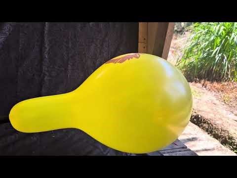 BALLOON STRENGTH TEST!! 🎈 Animal Pattern vs. Polka Dot Balloons Inflated to the Max