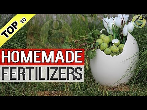 HOMEMADE ORGANIC FERTILIZERS For Plants in Garden Tips | How to make fertilizer at home