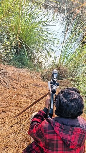 hun hunting #pcphunters #pcphunters #birdhunting #harehunting #hunting #airgunhunting#huntingvideo