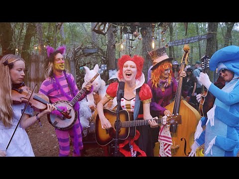 Molly Tuttle & Golden Highway - White Rabbit (Live)