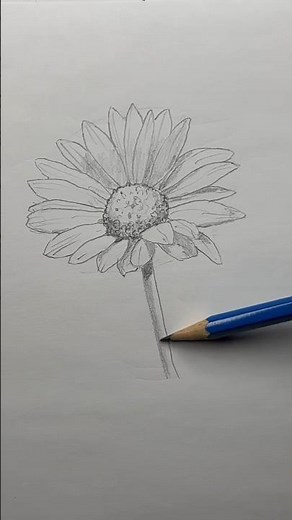 Draw a flower 🌸 Easy drawing lesson for beginners on how to draw a flower. #drawinglesson#howtodraw