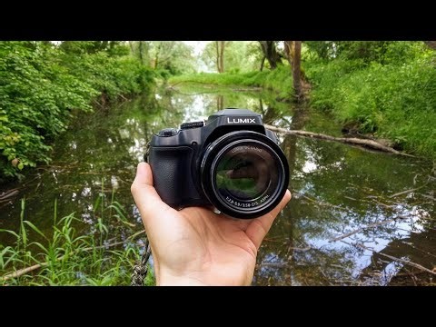 Panasonic Lumix FZ Series – High-Zoom Bridge Cameras for Stunning Photography & Video