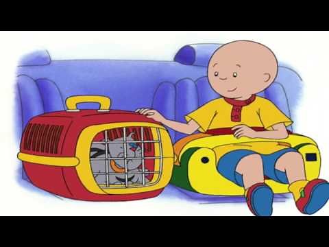 Caillou en Arabe 38